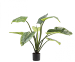 kunstplant Alocasia 91cm